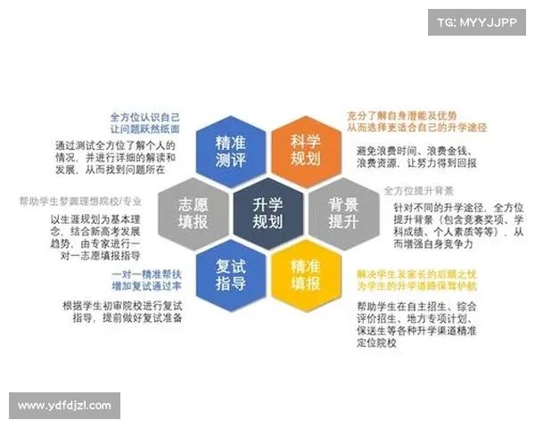 最佳角色加点策略与详细分析全面指导 最佳角色加点策略与详细分析全面指导