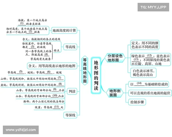 大卫路易斯的独特位置与技术特点解析及其在场上的战略价值