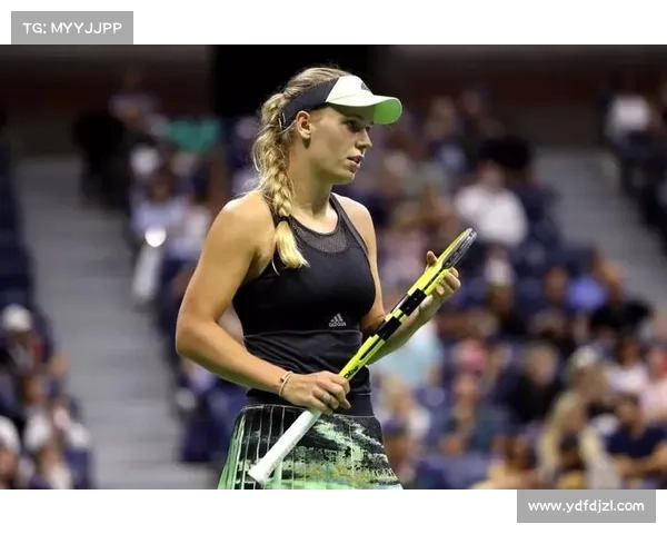 探索美冠杯赛级划分与多重影响因素分析